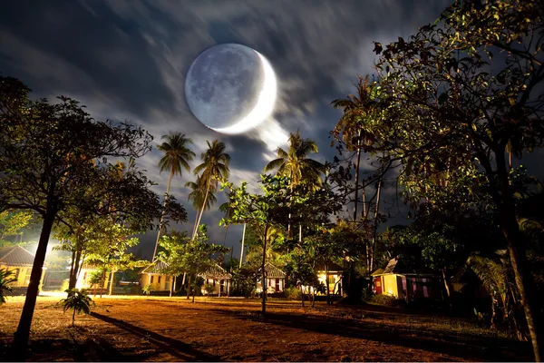 Moonlight — Fotografie, imagine de stoc