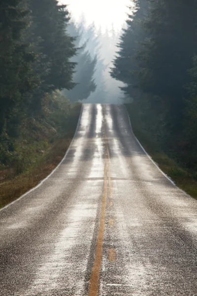 Road in mountains — Stock Photo, Image