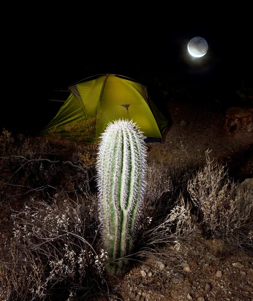 Палатка в ночи — стоковое фото