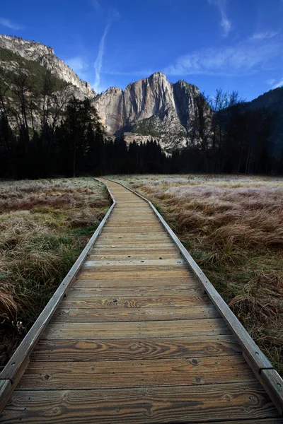 stock image Yosemite