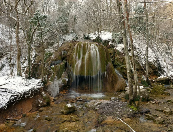 Zakochuje się w lesie zimą — Zdjęcie stockowe