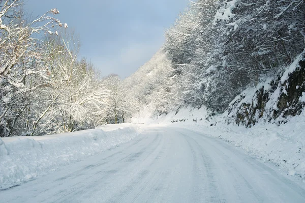 冬の道 ロイヤリティフリーのストック画像