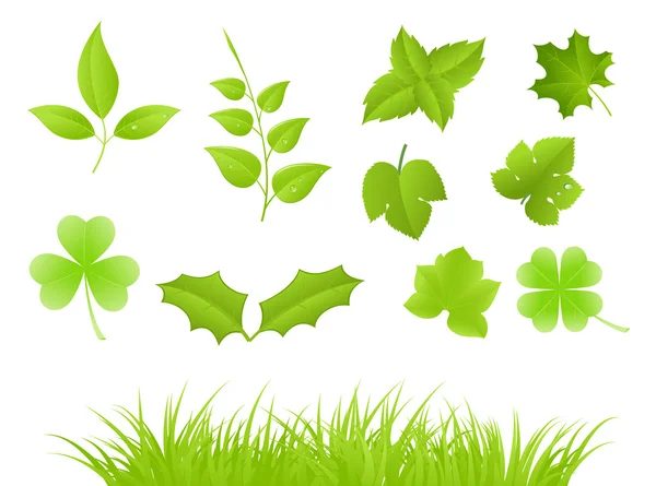 Zelené větve a trávu — Stockový vektor