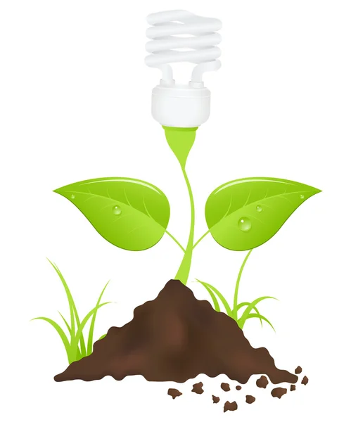 Ampoule végétale — Image vectorielle
