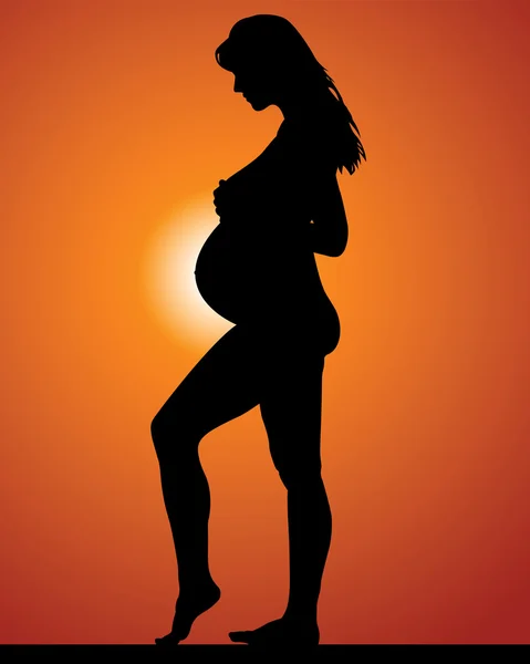 Une femme enceinte. Coucher de soleil — Image vectorielle