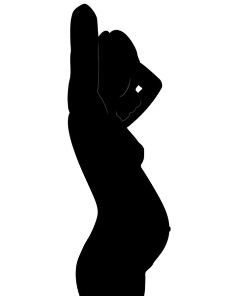 Silhouette of the pregnant woman. Fetus — Stock Vector