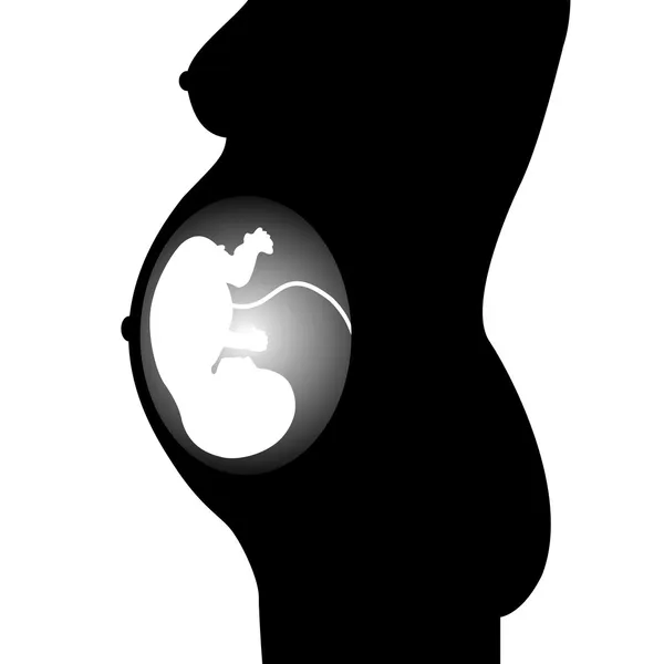胎儿的侧面影像 — 图库矢量图片
