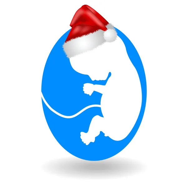 Noel ve fetüs — Stok Vektör