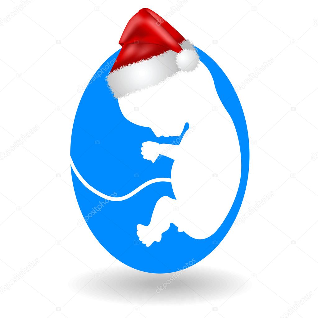 Christmas and fetus
