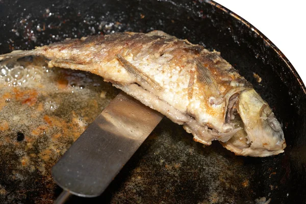 stock image Fish on a frying pan