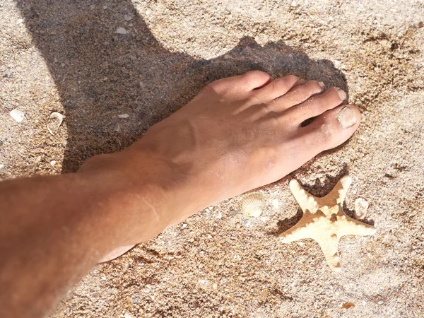 Stella marina e il piede umano — Foto Stock
