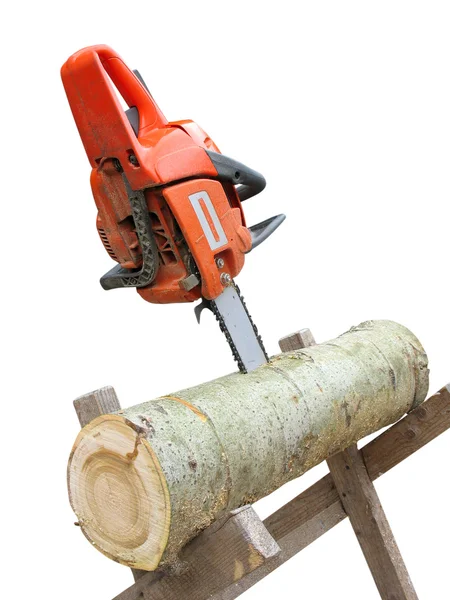 Chain saw in cut of wooden log over white background — Stock Photo, Image