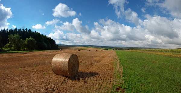 stock image Hay harvest