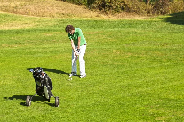 stock image Fairway