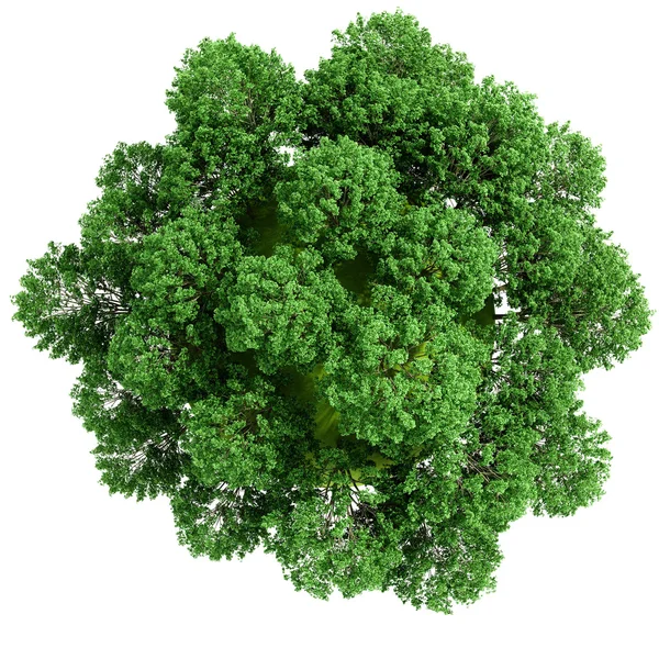 3D зеленая планета, полная деревьев, концепция — стоковое фото