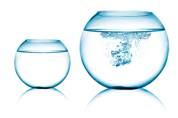 Närbild bild av två fiskar skålar på vit bakgrund — Stockfoto