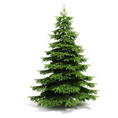3d Christmas tree ready to decorate - on white background