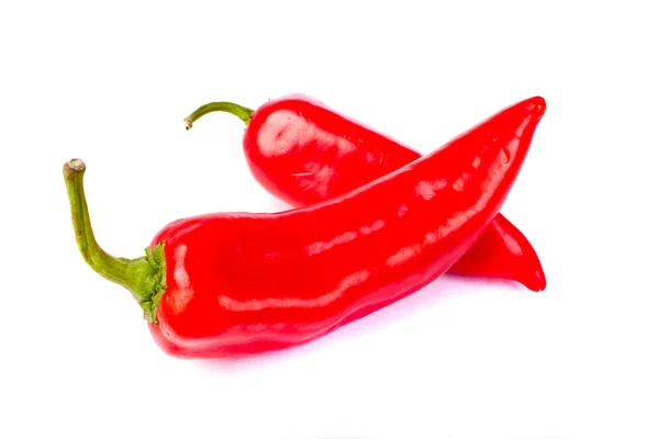 Verse gezonde peper op witte achtergrond — Stockfoto