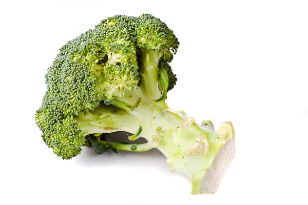 Brócoli fresco y saludable sobre fondo blanco — Foto de Stock