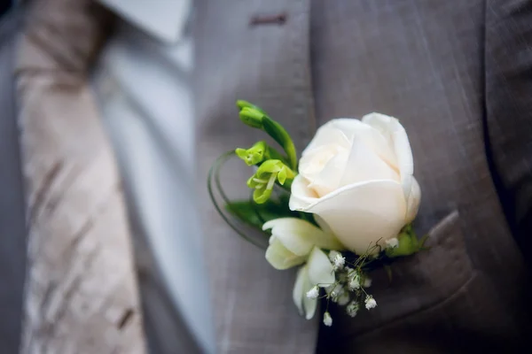 Bir adamın ceketindeki yaka çiçeği — Stok fotoğraf