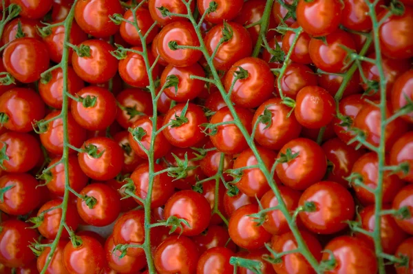 stock image Cherry tomatoes