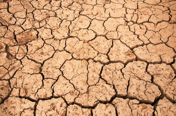 Tierra seca Imagen De Stock