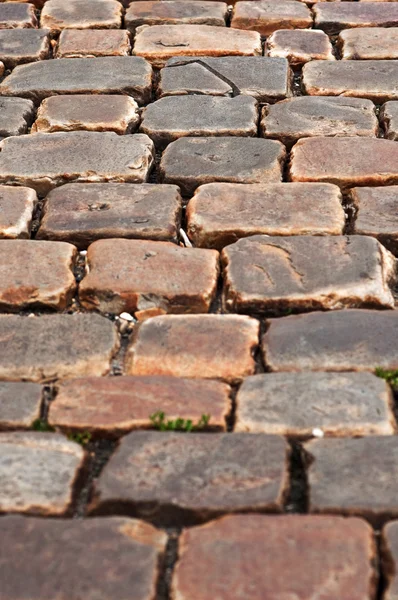 石畳の石の道 — ストック写真