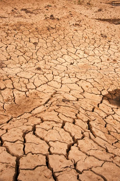 Grunty suche — Zdjęcie stockowe