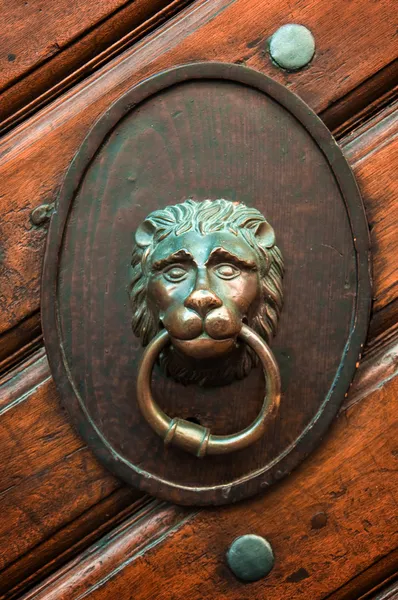 Leeuw deurknop — Stockfoto
