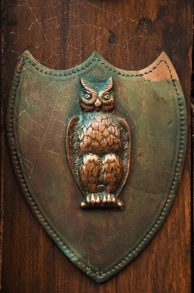 Owl door knob — Stock Photo, Image