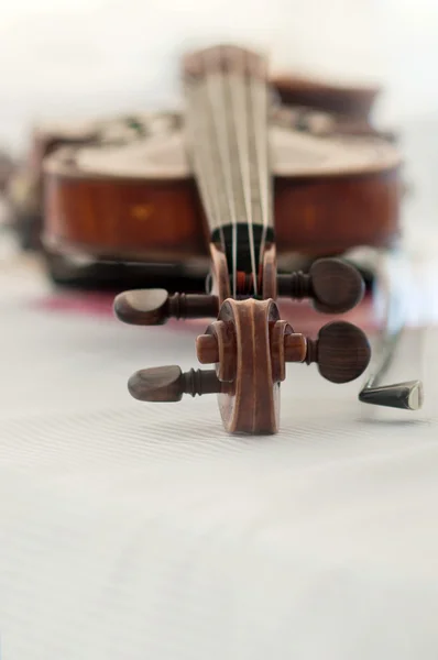 Скрипка — стоковое фото