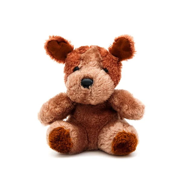 玩具熊 — 图库照片