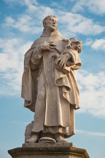 Statua sul Ponte Carlo — Foto Stock