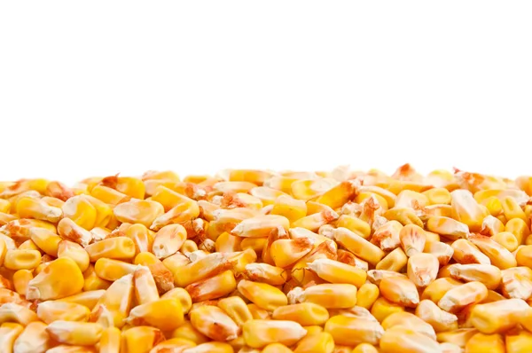 Granos de maíz —  Fotos de Stock