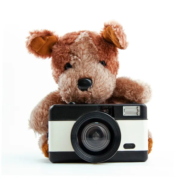 Urso de peluche — Fotografia de Stock