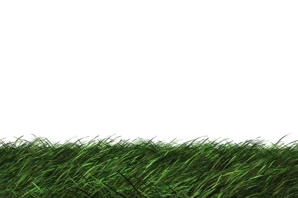 3D çimen — Stok fotoğraf