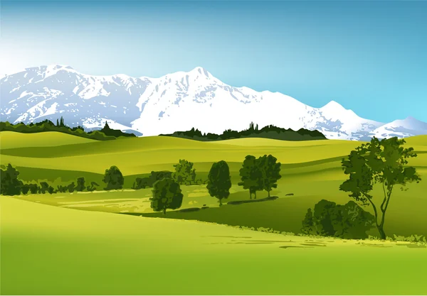 Groen landschap met hoge bergen — Stockvector