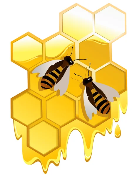 蜜蜂和蜂蜜 — 图库矢量图片