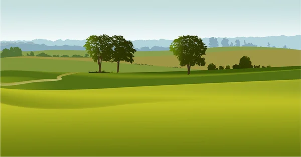 Zelené venkovská krajina — Stockový vektor
