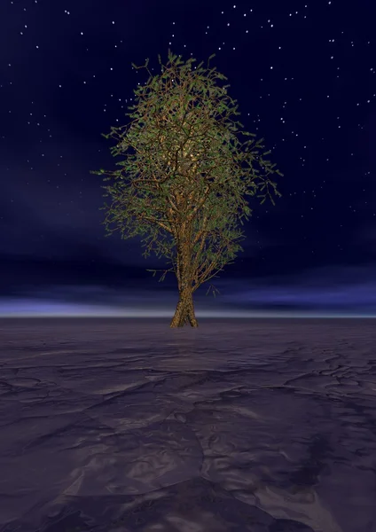 Baum und Landschaft — Stockfoto