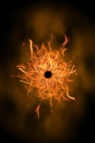 Feuerblume. — Stockfoto