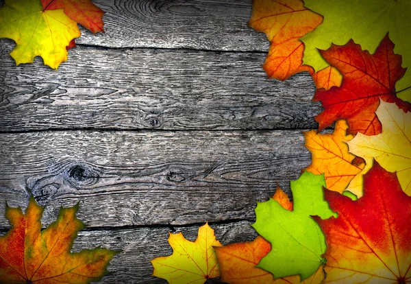 多彩的秋天树叶的帧 — 图库照片
