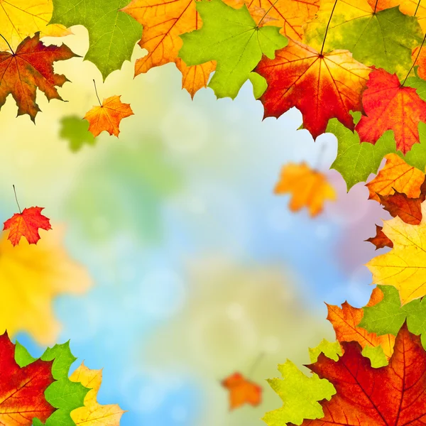 Rahmen aus bunten Herbstblättern — Stockfoto