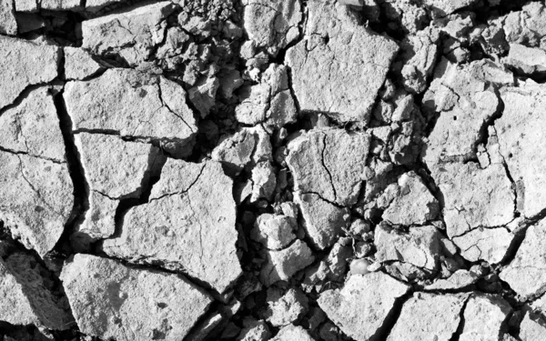 Потерянная почва — стоковое фото