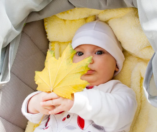 Little girl in pram holding autumn leaf — Stock Photo, Image