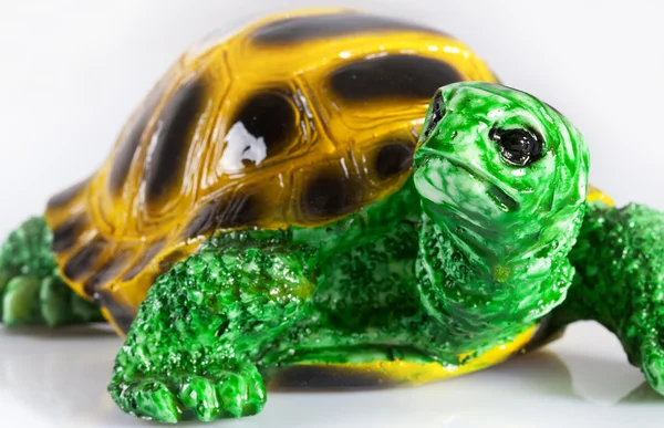 Keramische beeldje schildpad — Stockfoto