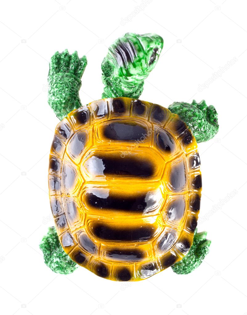 Ceramic figurine of turtle