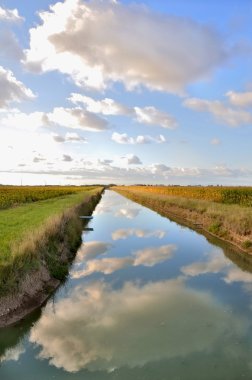 alanlar arasında canal