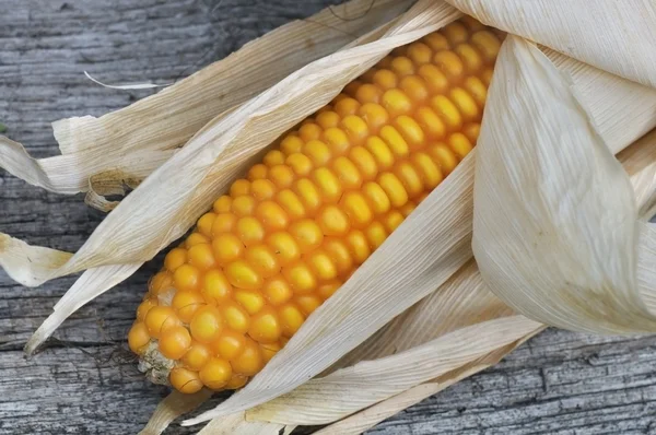 Yellow ear of corn on old board — Stock Photo, Image