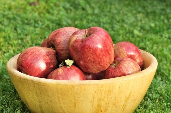 Tigela cheia de maçãs vermelhas — Fotografia de Stock